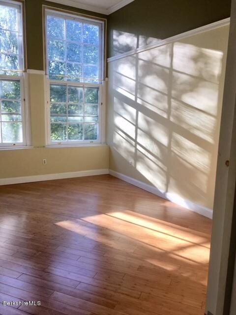 Dartmouth Natural Light