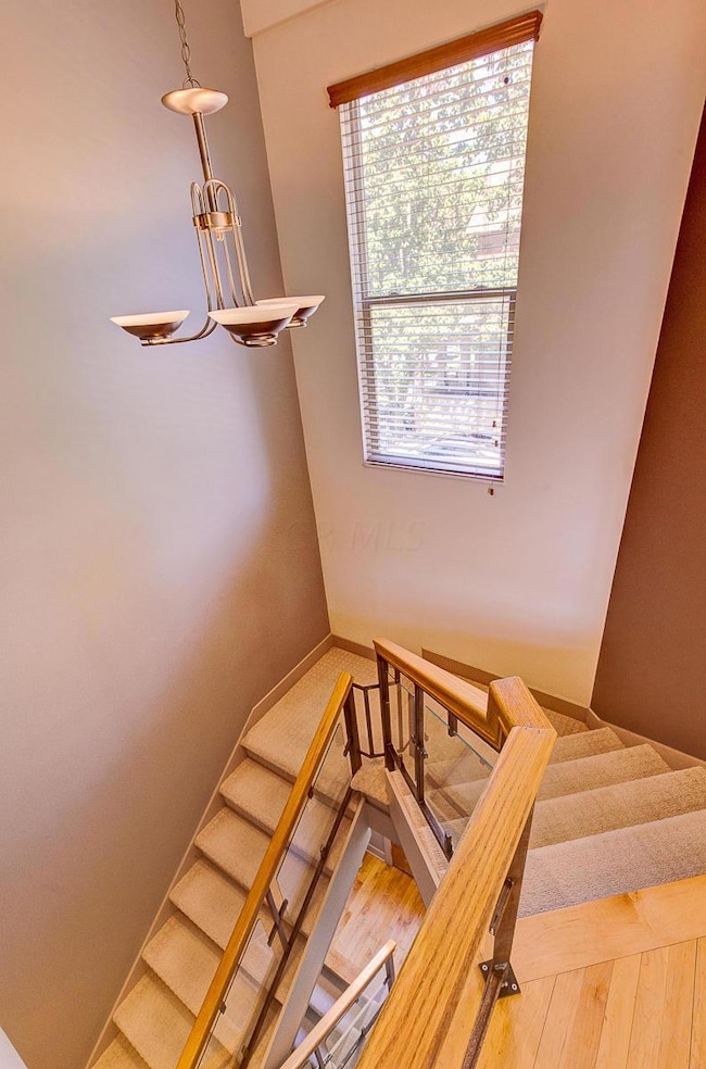 113 E Mithoff St unit 113, Columbus, OH 43206 - photo 3