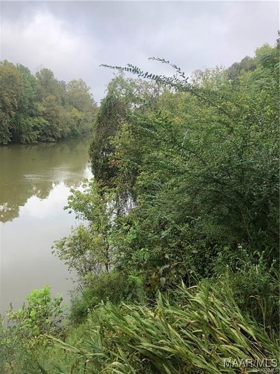 115 Cahaba View Dr, Selma, AL 36702 - photo 5