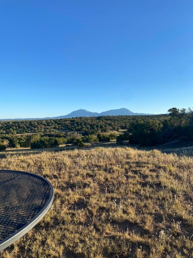 C4B4D393-28FF-4A69-BBEA-65B3BC91D69B_1_1