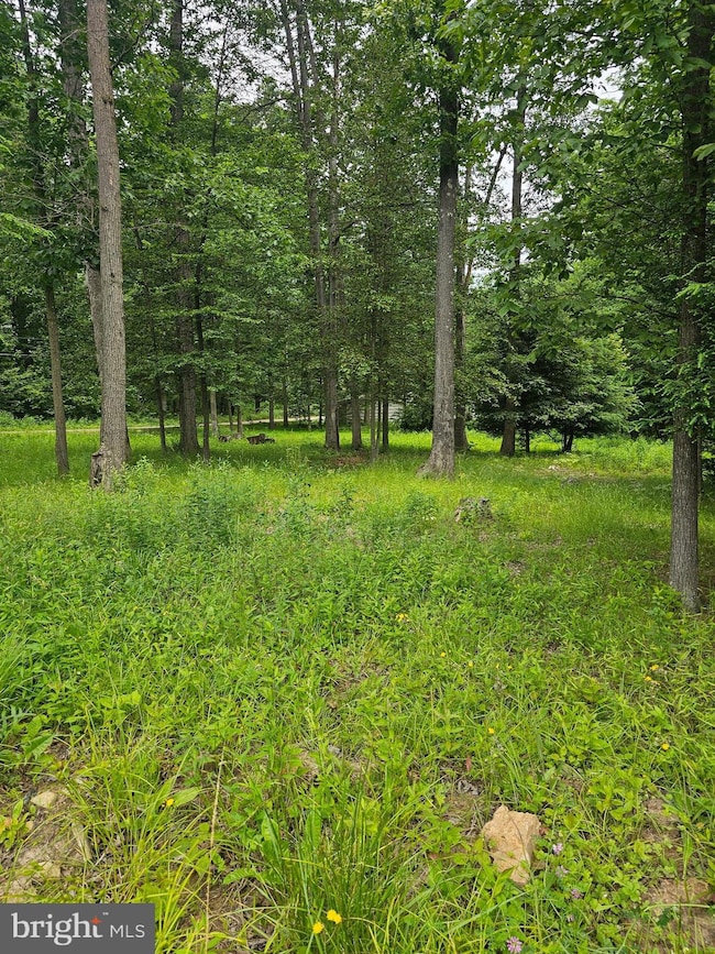 00 Pisgah Rest, Shermans Dale, PA 17090 - photo 5