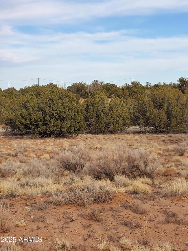3933 Hidden Ranch Rd unit 56, Snowflake, AZ 85937 - photo 4