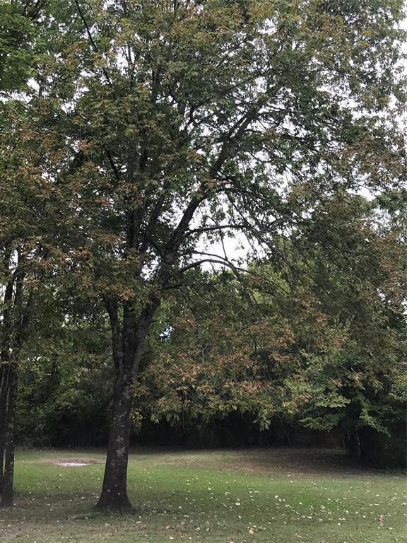 TBD Lonesome Dove Dr, Sherman, TX 75090 - photo 2