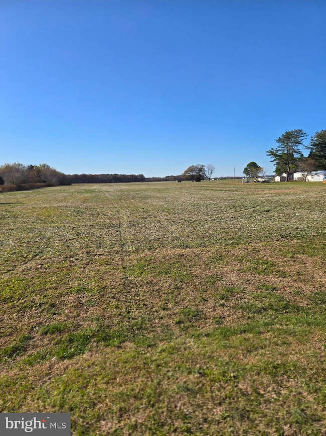 5844 Thompsontown Rd, East New Market, MD 21631 - photo 6