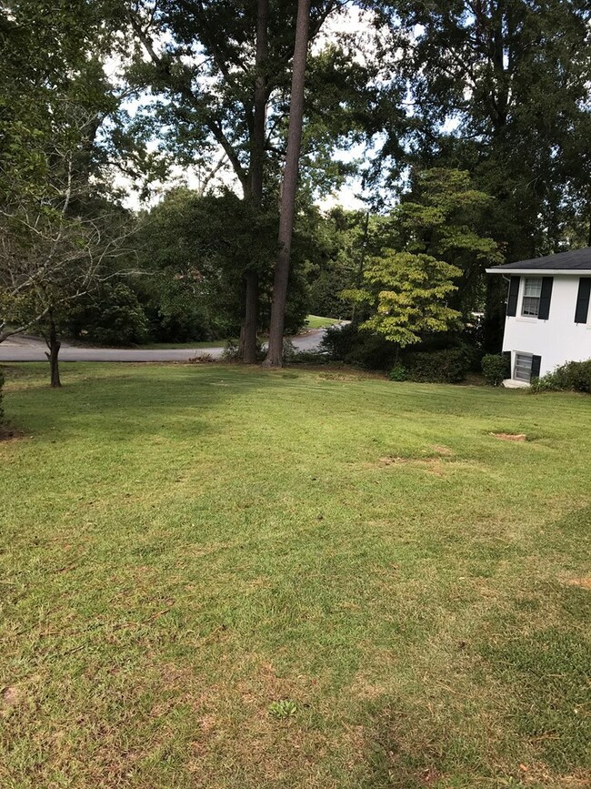 Additional Photo