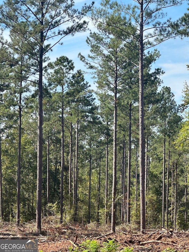 0 Seven Islands Rd unit 10585751, Madison, GA 30650 - photo 3