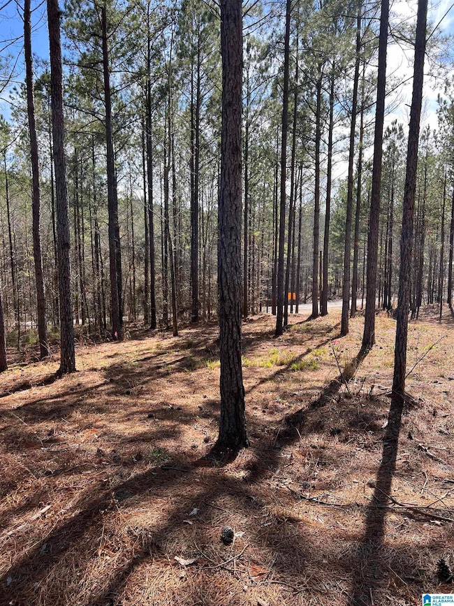 780 Sweet Apple Rd unit 1, Cropwell, AL 35054 - photo 7