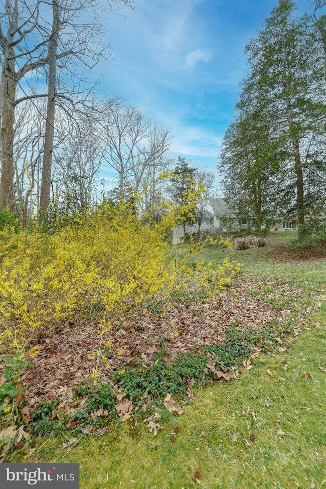 24093 Mill Cove Rd, California, MD 20619 - photo 7