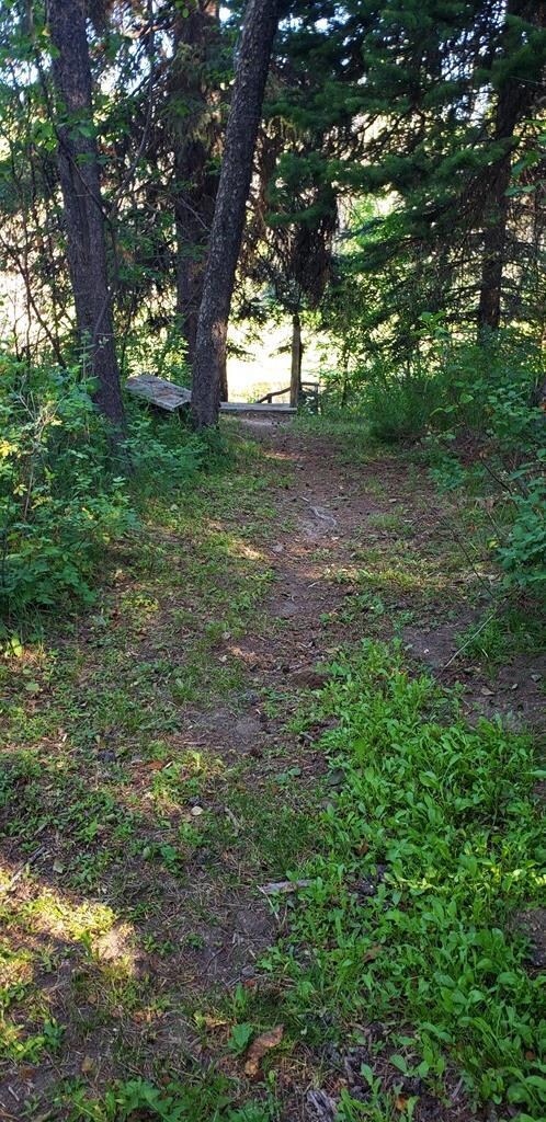 Path across BOR