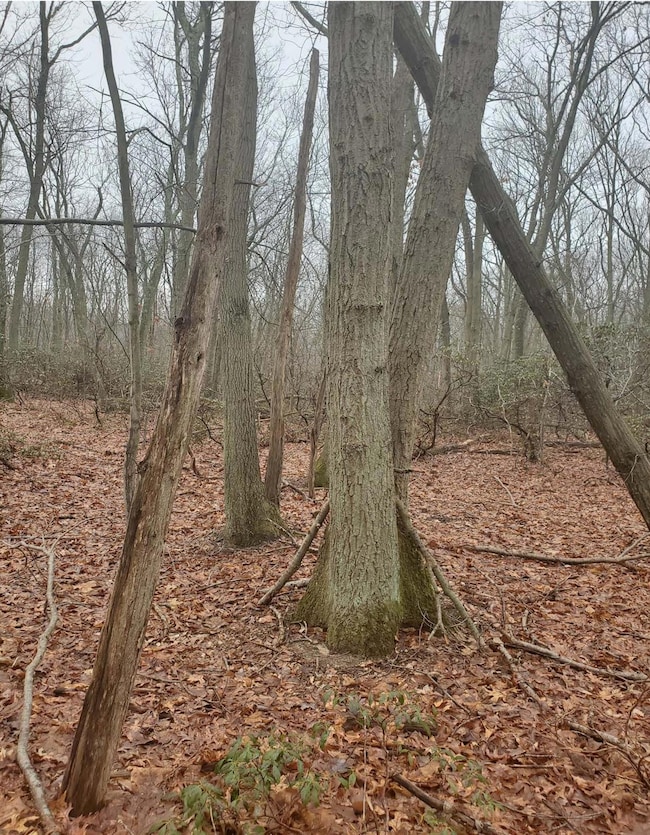 8 Steep Bank Rd, Nissequogue, NY 11780 - photo 3