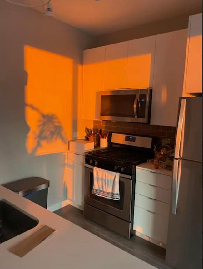 833 N Clark St unit 2408, Chicago, IL 60610 - photo 5