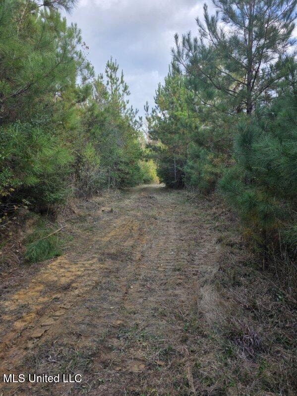 125 Moses Ln, Prentiss, MS 39474 - photo 2