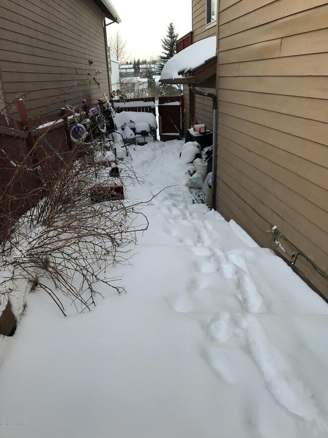 Side Yard