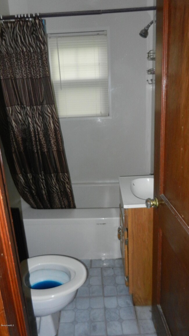 3 Lambert Terrace, Adams, MA 01220 - photo 7