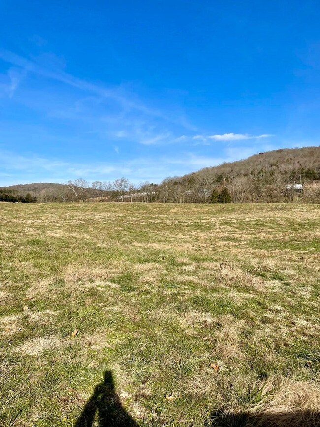 231 Highway 1003, Somerset, KY 42501 - photo 6