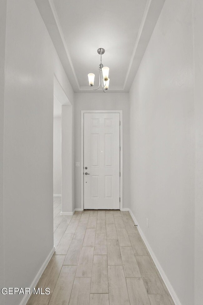 2-web-or-mls-IMG_8233