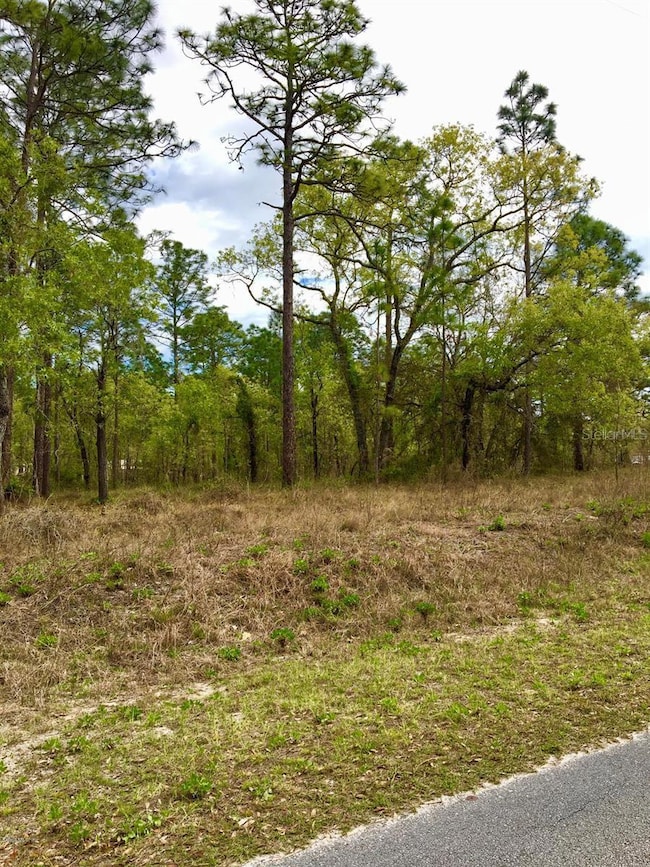 0 NW Falcon Ave unit MFRA4595252, Dunnelllon, FL 34431 - photo 2