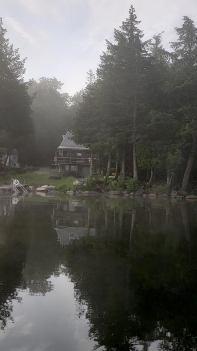 Mystic Morning