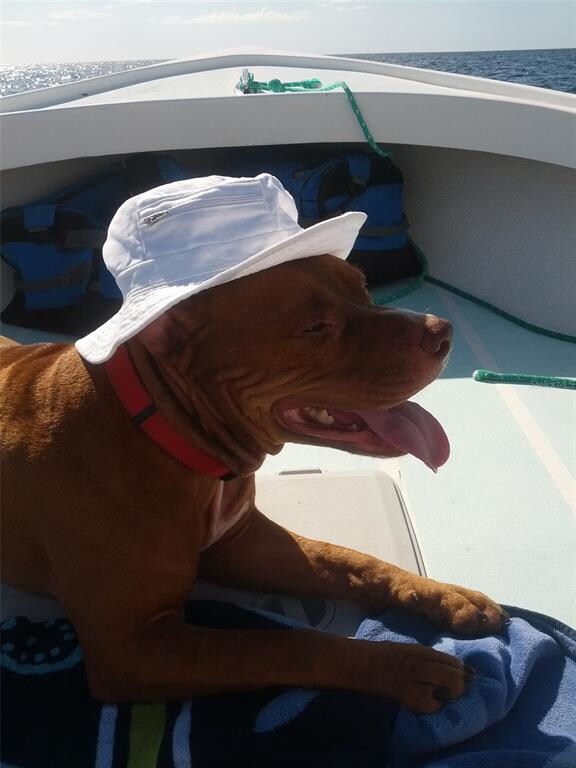 Special Boating Partner~