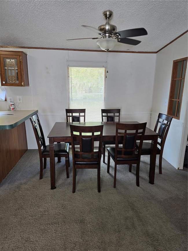 12667 SE 101st Ct, Belleview, FL 34420 - photo 5