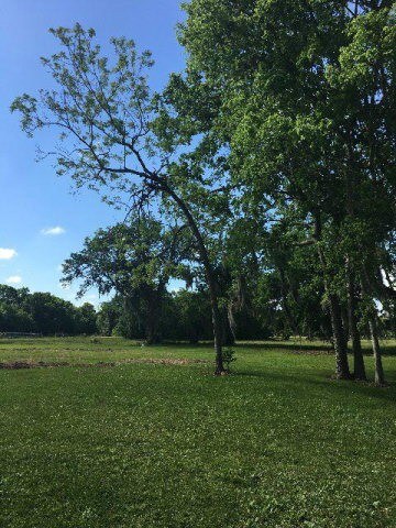 0 County Road 400 unit 66414098, Brazoria, TX 77422 - photo 3