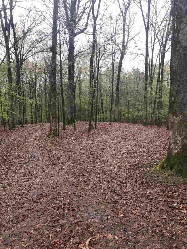 10810 Raleigh Lagrange Rd E, Eads, TN 38028 - photo 6