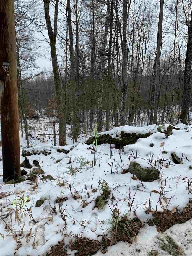 Lot 2 Cheever Rd, Wentworth, NH 03282 - photo 7