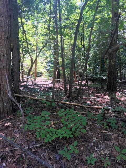 24 Pine Cove Cir unit 24/25, Belle Haven, VA 23306 - photo 2