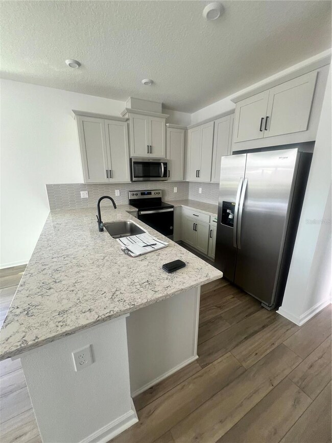 2517 Chickasaw Plum Loop, Clermont, FL 34711 - photo 4