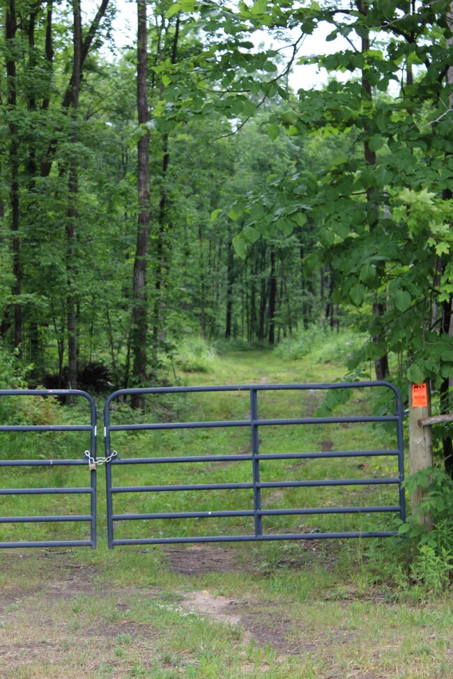 00 Soderquist Rd, Mancelona Township, MI 49659 - photo 5