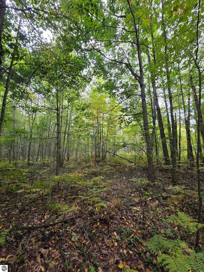 TBD S Chippewa Rd, Mount Pleasant, MI 48858 - photo 2