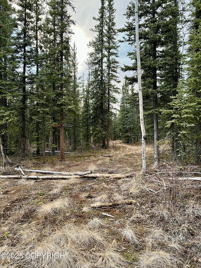 L11 B4 Jack Wade Bill Seaton Rd, Tok, AK 99780 - photo 7