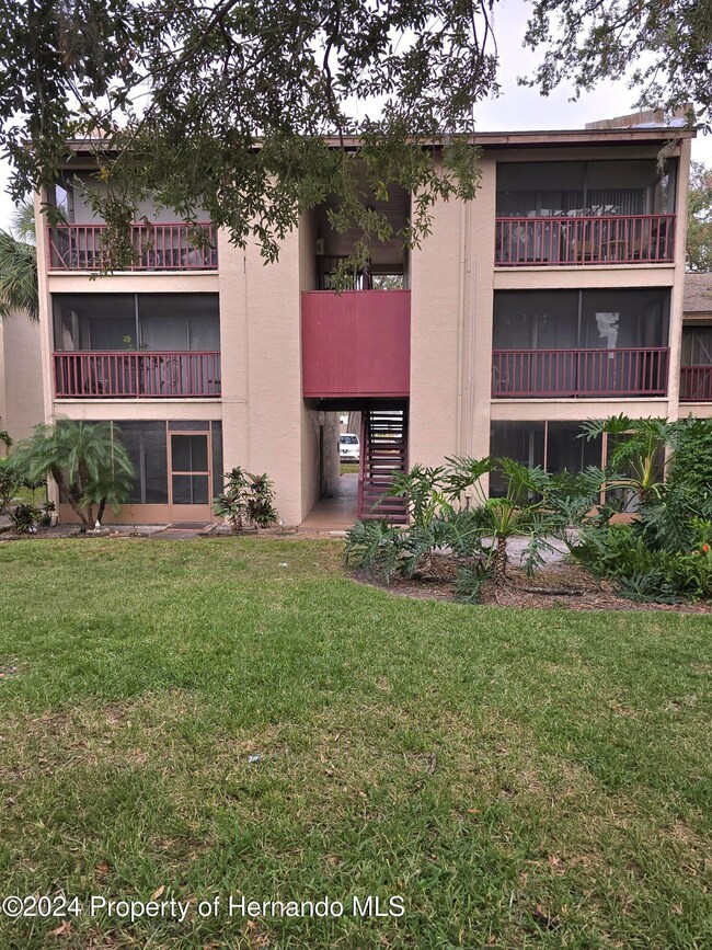Rear Of Condo