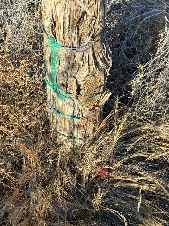 9813 4000 N, Lapoint, UT 84039 - photo 2