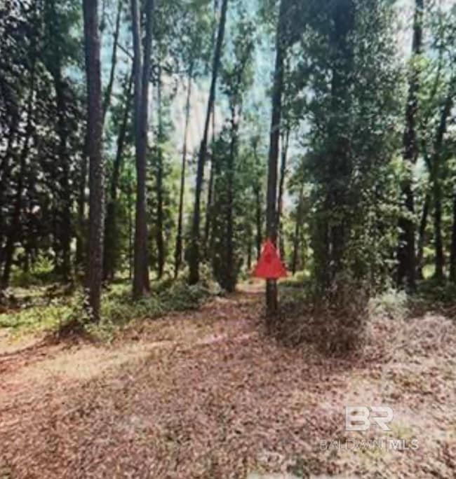 0 Woodhaven Dairy Rd W, Silverhill, AL 36576 - photo 2