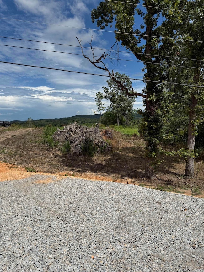 12950 Highway 5, Norfork, AR 72658 - photo 6