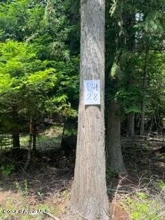 Granite Creek Lot 28 1