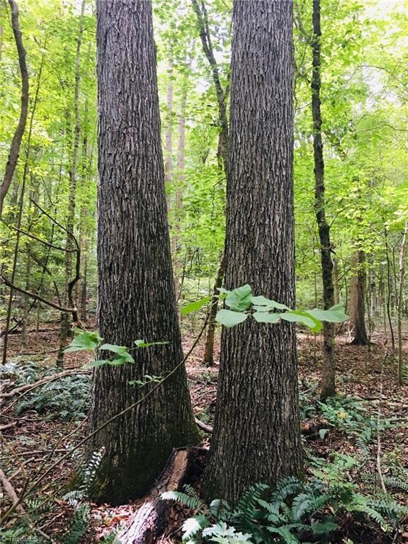 5723 Lou Cranford Rd, Denton, NC 27239 - photo 5