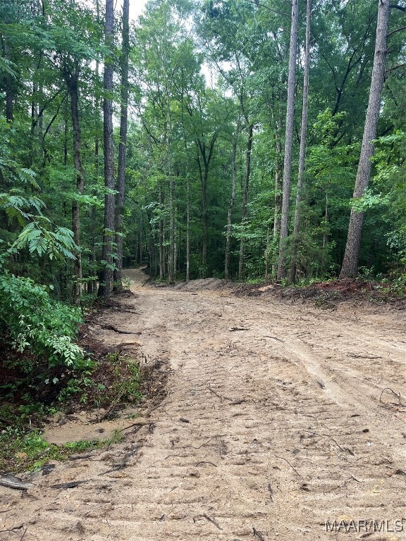 196 Venable Ct, Wetumpka, AL 36092 - photo 6