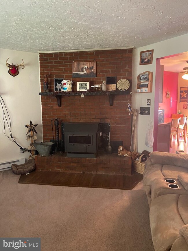 1006 Simmons Mountain Rd, Sugar Grove, WV 26815 - photo 2