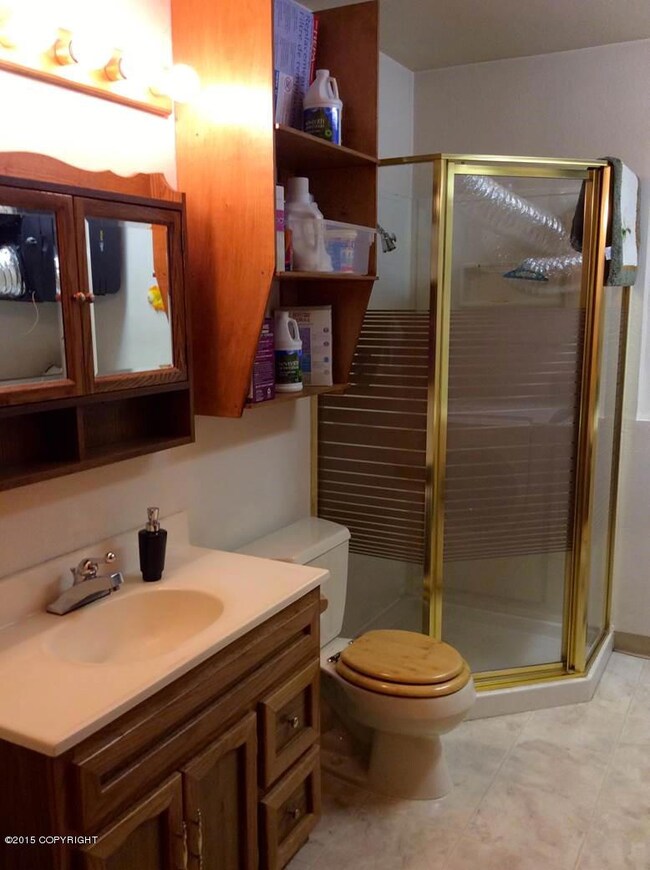Lower Bathroom