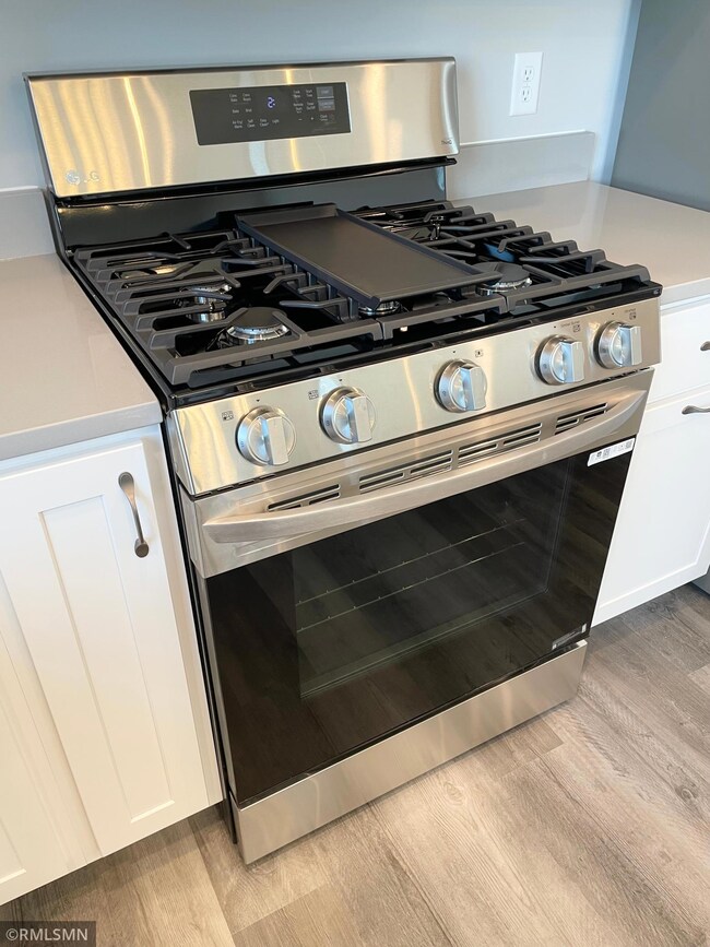 4800 162nd Way N, Hugo, MN 55038 - photo 5