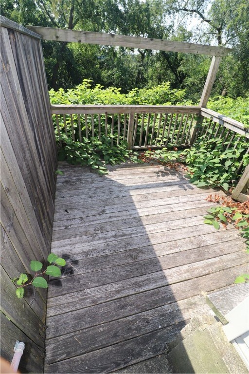 Backyard deck