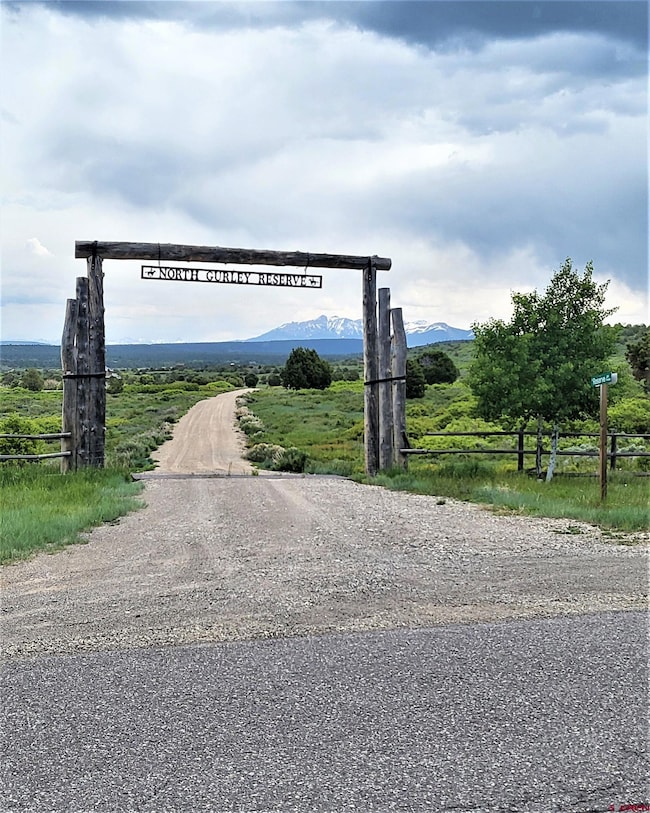 10 N Reserve Dr, Norwood, CO 81423 - photo 2