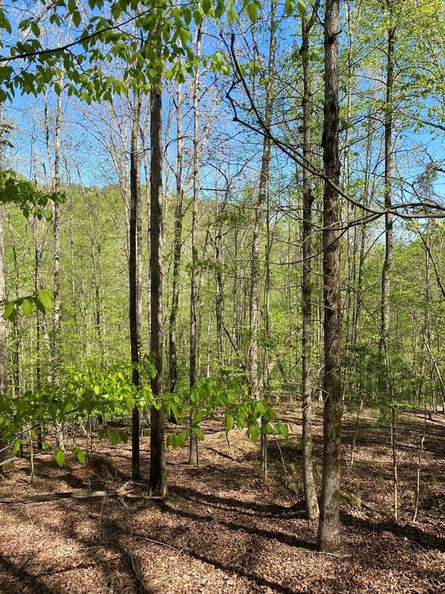 L409 Summit Ln, Ellijay, GA 30540 - photo 2