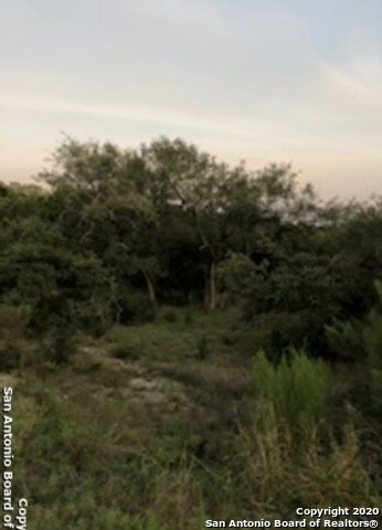 8830 Falcon Place, San Antonio, TX 78256 - photo 6