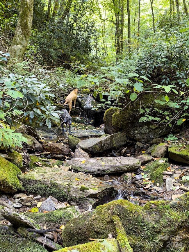 Lot 59 Black Rock Rd unit 59, Cherokee, NC 28719 - photo 3