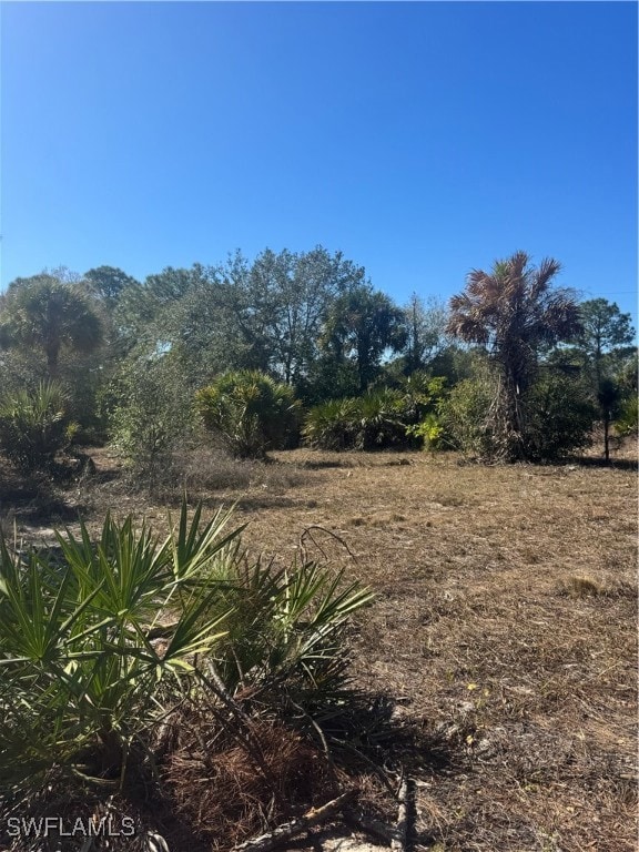 View of nature featuring a rural view
