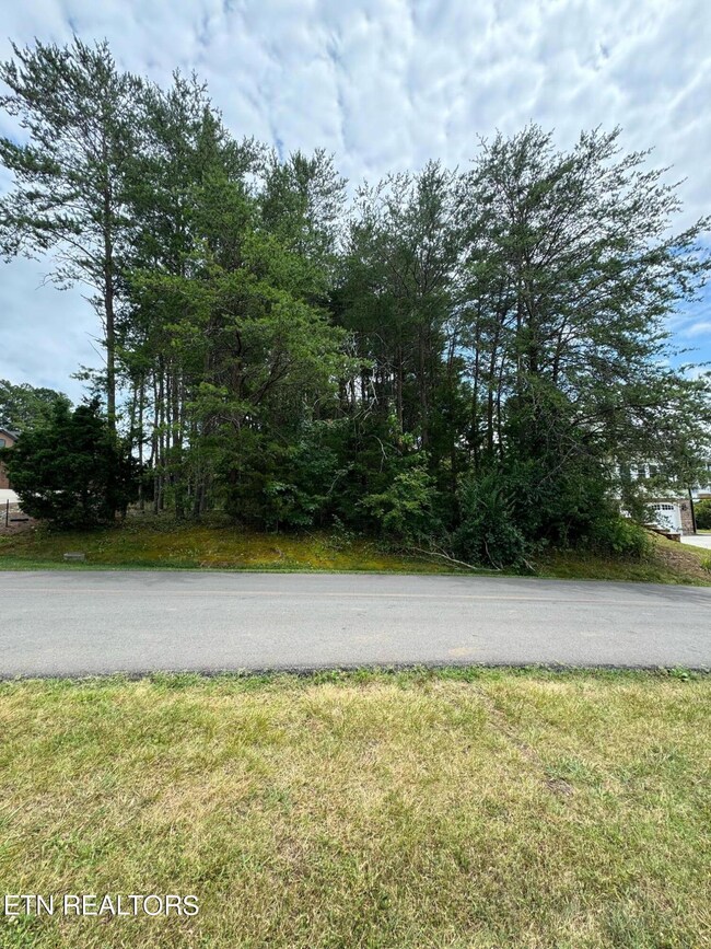 image8