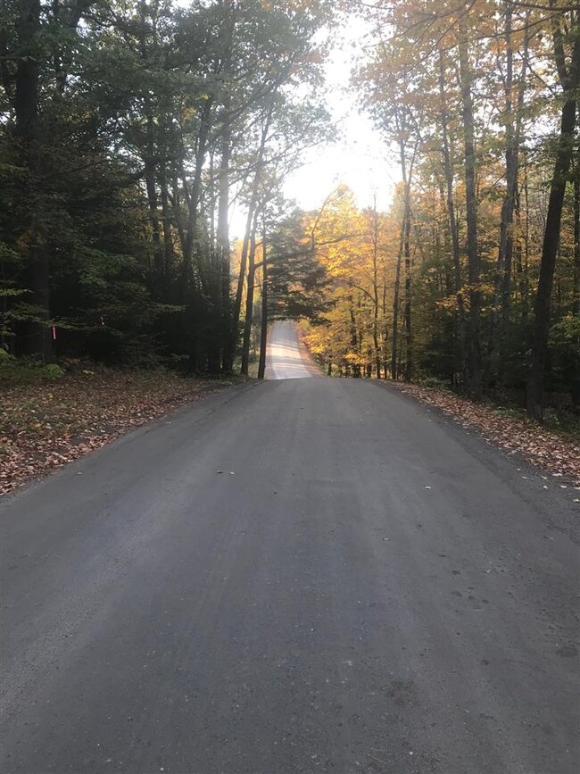 00-B Pinneo Hill Rd, Hanover, NH 03755 - photo 3